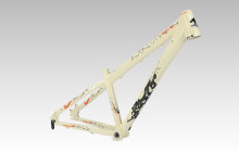 Freeride Frame