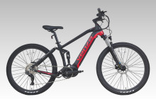 E-Bike